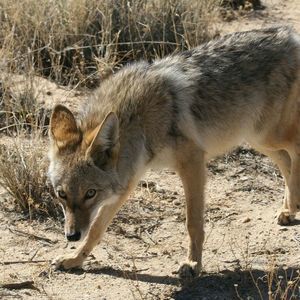 Meet your Posher, Debra